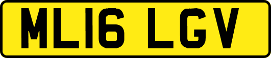 ML16LGV