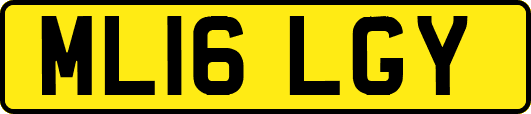 ML16LGY