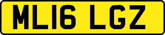ML16LGZ