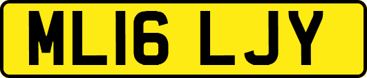 ML16LJY