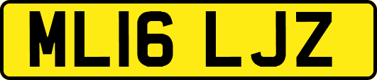 ML16LJZ