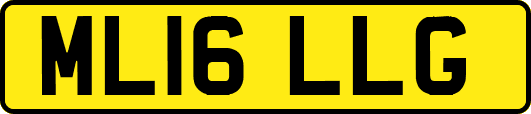 ML16LLG