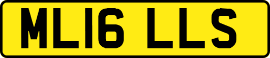 ML16LLS