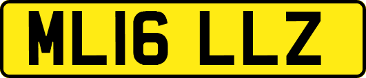 ML16LLZ