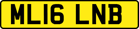 ML16LNB