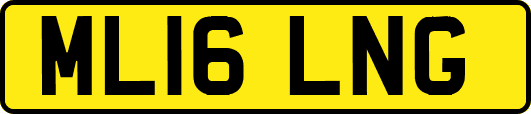 ML16LNG