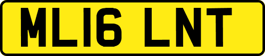 ML16LNT