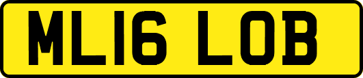 ML16LOB