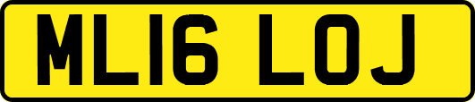 ML16LOJ