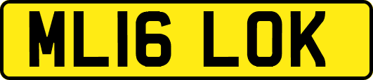 ML16LOK