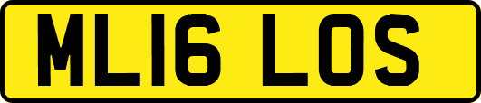 ML16LOS