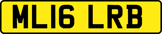ML16LRB