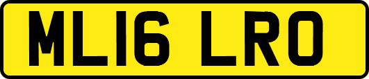 ML16LRO