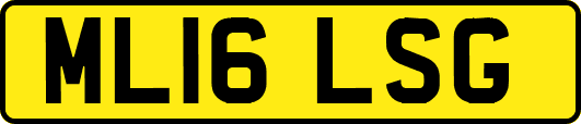 ML16LSG