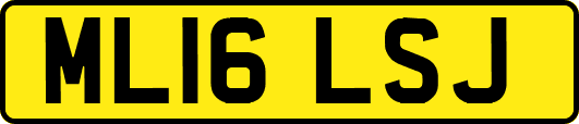 ML16LSJ