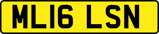 ML16LSN