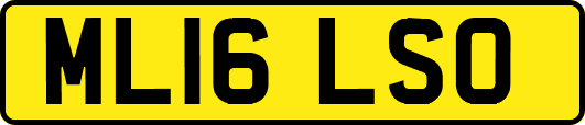 ML16LSO
