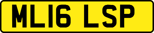 ML16LSP