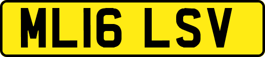 ML16LSV