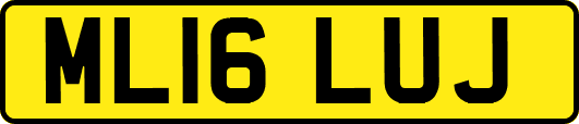 ML16LUJ