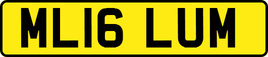 ML16LUM
