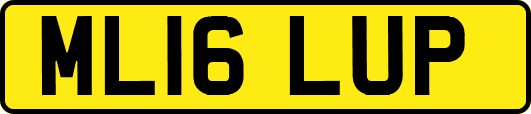 ML16LUP