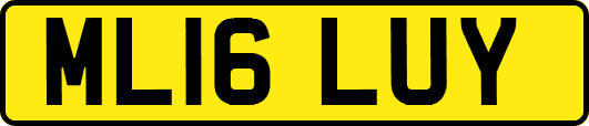 ML16LUY