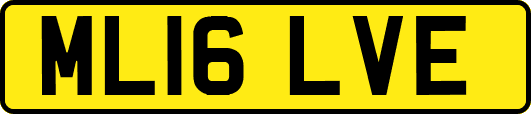 ML16LVE