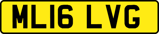 ML16LVG