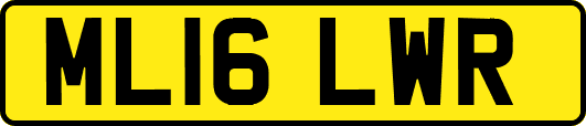 ML16LWR