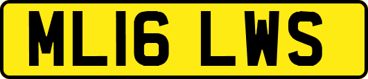 ML16LWS