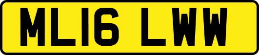 ML16LWW
