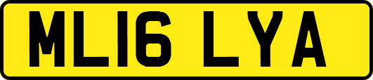 ML16LYA
