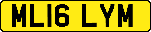 ML16LYM