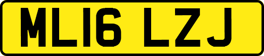 ML16LZJ