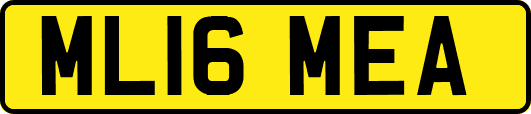 ML16MEA
