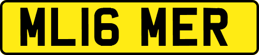 ML16MER