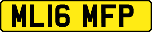 ML16MFP