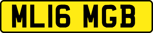 ML16MGB