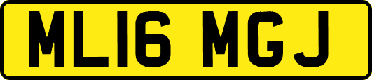 ML16MGJ