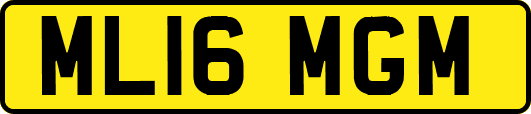 ML16MGM