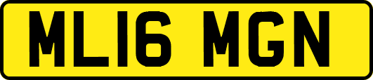ML16MGN