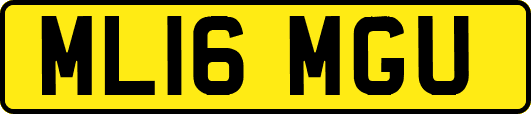 ML16MGU