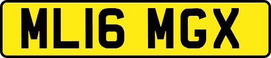 ML16MGX