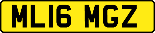 ML16MGZ