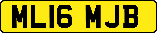 ML16MJB