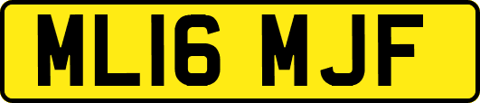 ML16MJF