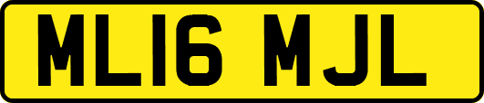 ML16MJL