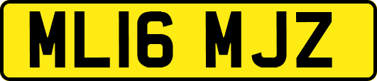 ML16MJZ