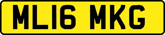 ML16MKG